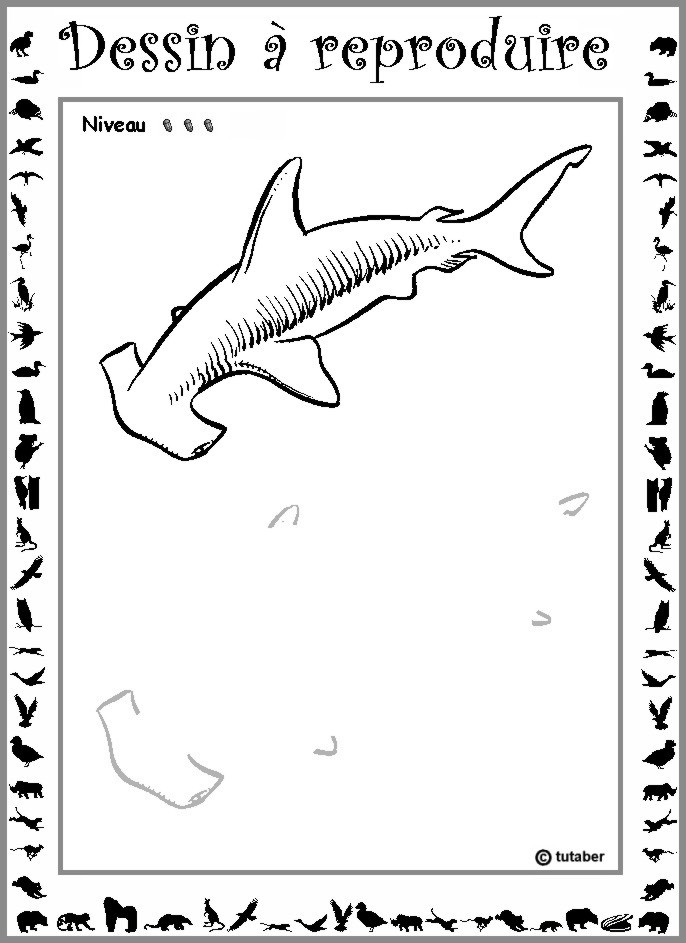 Dessiner un requin-marteau : niveau 3