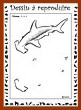 Aperçu requin-marteau  : niveau 3