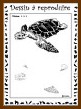 Dessiner une tortue : niveau 3
