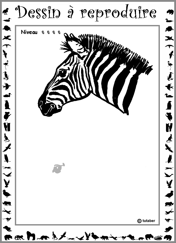 Un Zebre
