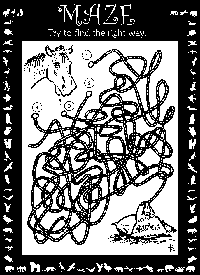 Maze : hungry horse
