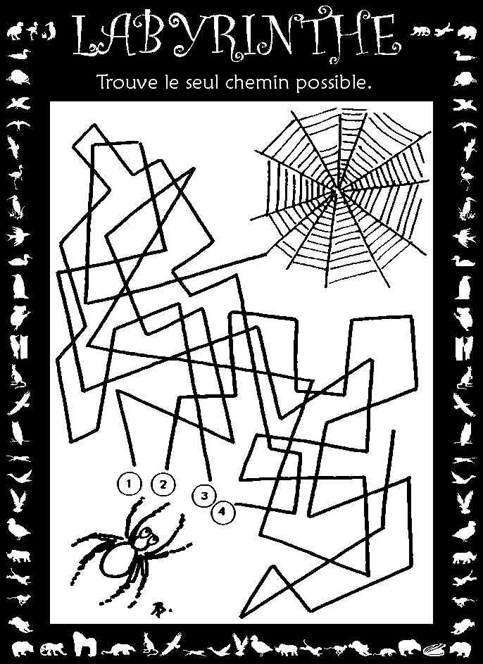 Labyrinthe : toile d'araignée