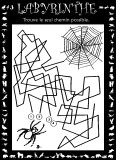 Aperçu labyrinthe araignée