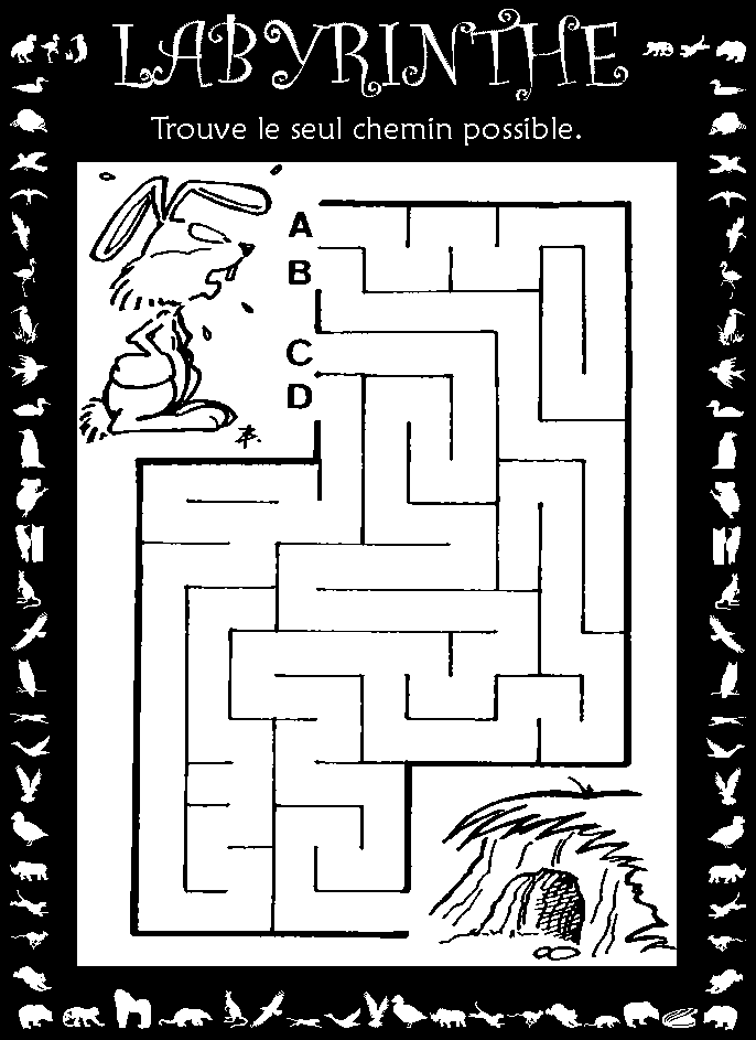 Labyrinthe : lapin égaré