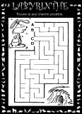 Aperçu labyrinthe lapin