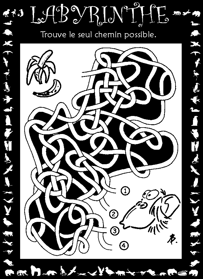 Labyrinthe : chimpanzé et bananes