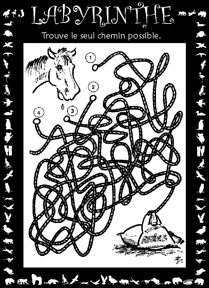 Labyrinthe : cheval