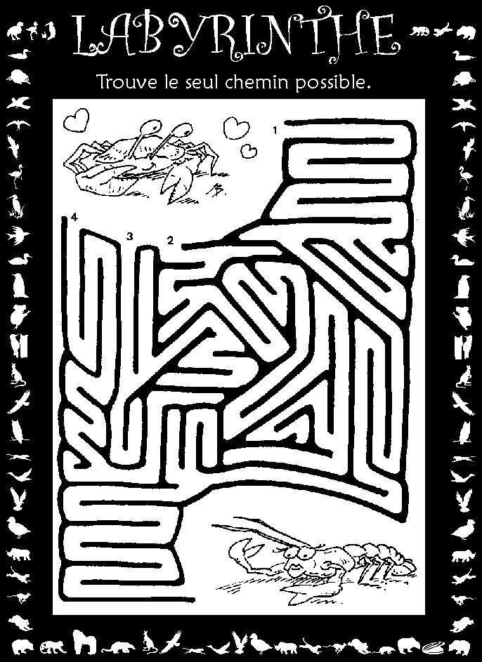 Labyrinthe : crabe et langouste