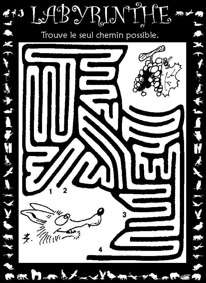 Labyrinthe : le renard et le raisin