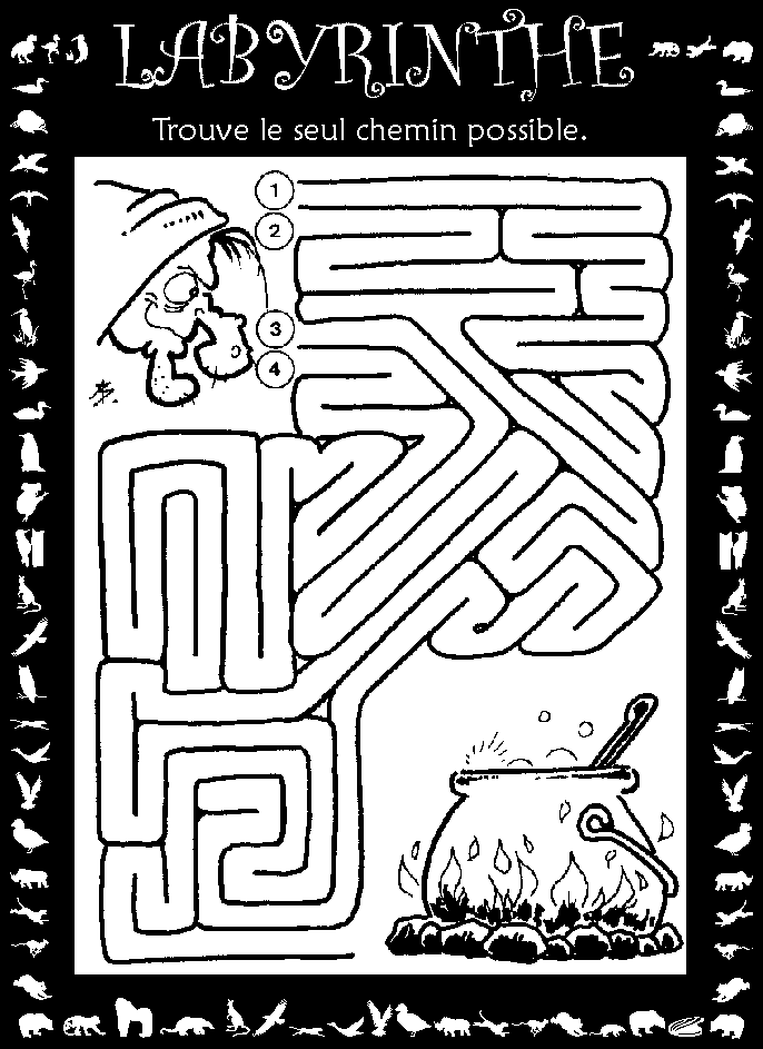 Labyrinthe : sorcière et chaudron