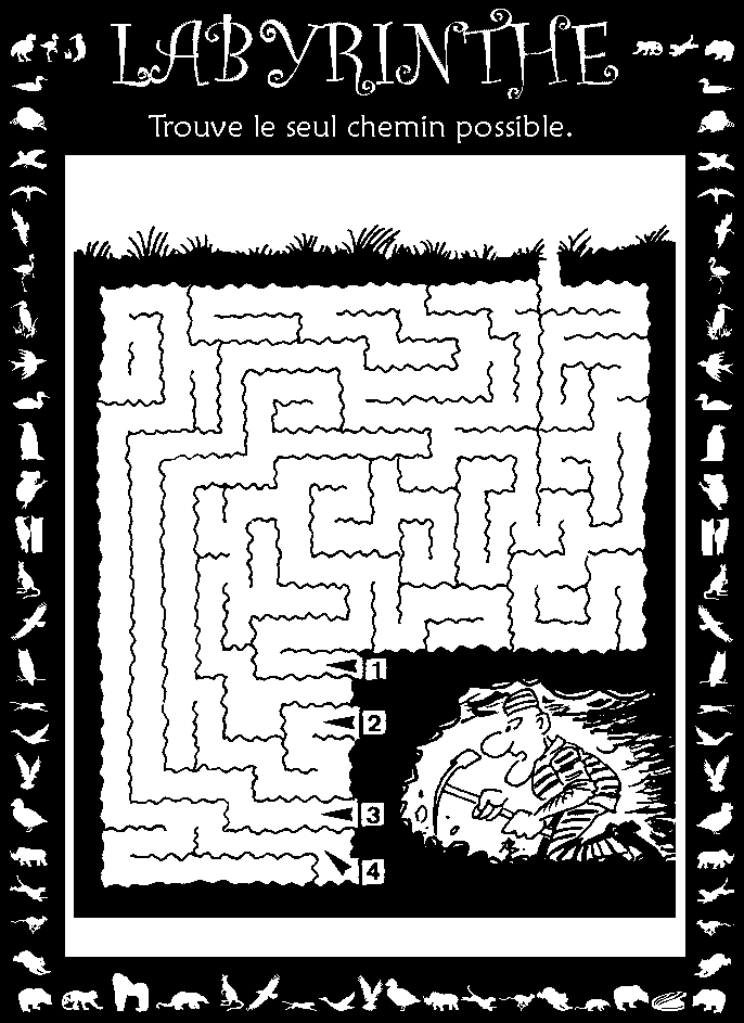Labyrinthe : évasion sous-terraine