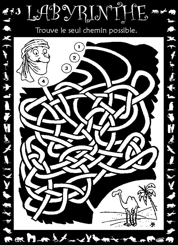 Labyrinthe : Touareg