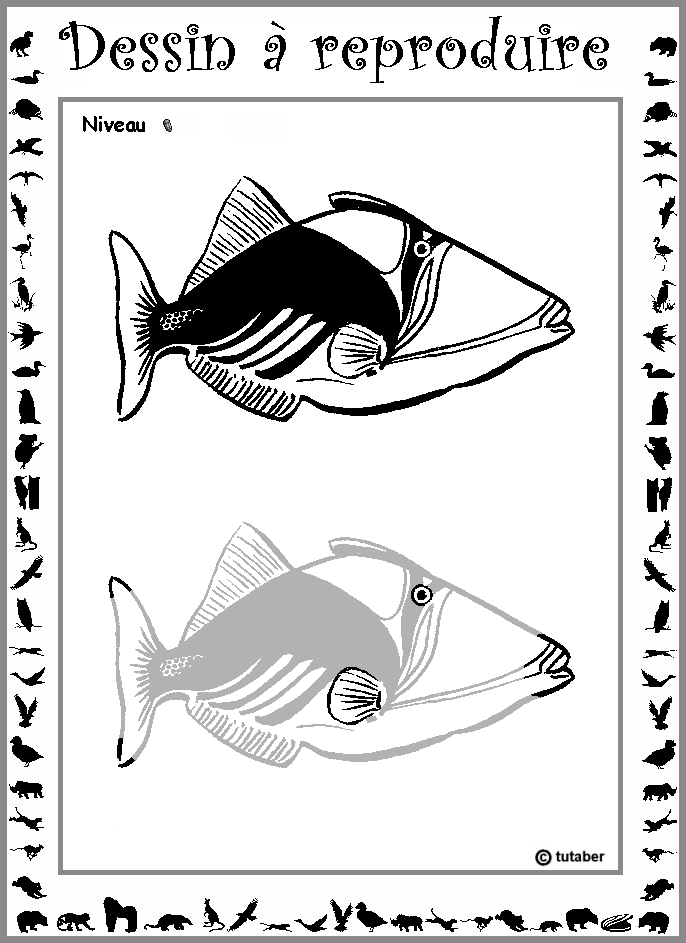 Dessiner un poisson (baliste) : niveau 1