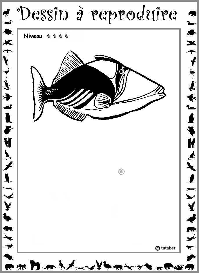 Dessiner un poisson (baliste) : niveau 4