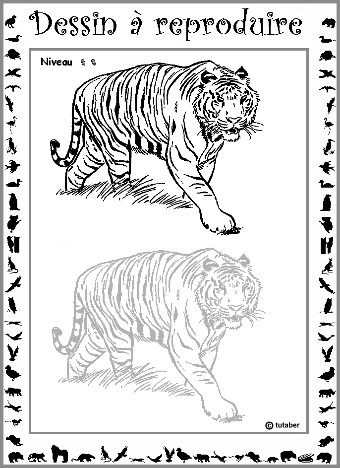 Dessiner un tigre