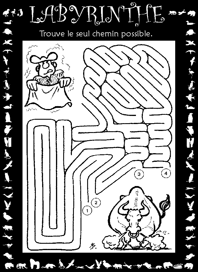 Labyrinthe : duel entre taureau et torrero