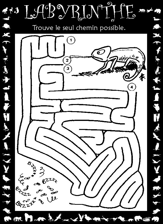 Labyrinthe : Caméléon insectivore